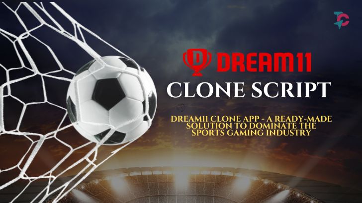 Affordable Dream11 Clone Script Development Services