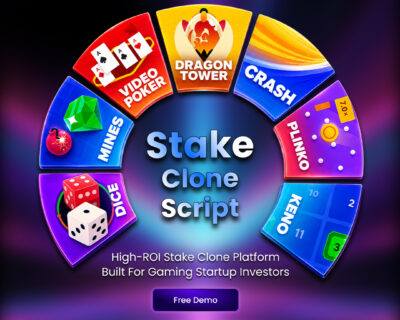 High-ROI-Stake-Clone-Platform-Built-for-Gaming-Startup-Investors