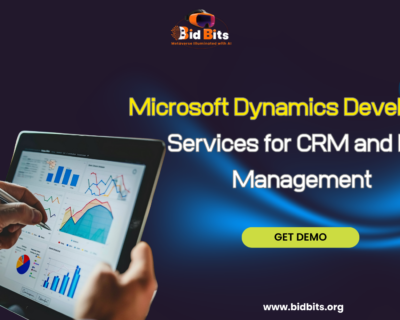 Microsoft-Dynamics-Development-Services-for-CRM-and-ERP-Management-