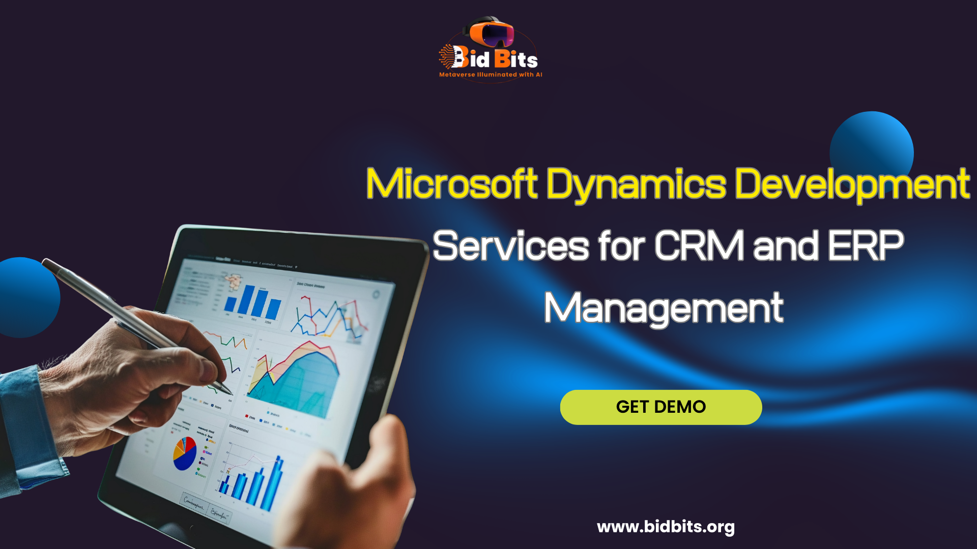 Microsoft Dynamics Development Services for CRM and ERP Management