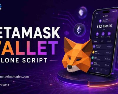 metamask-wallet-clone-script